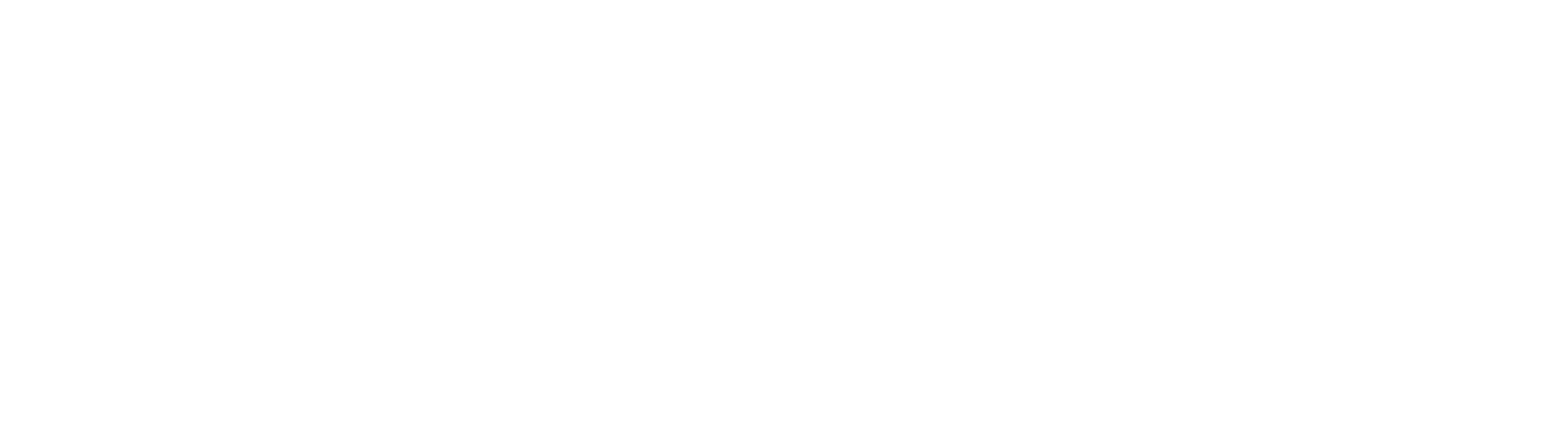Santander Logo White